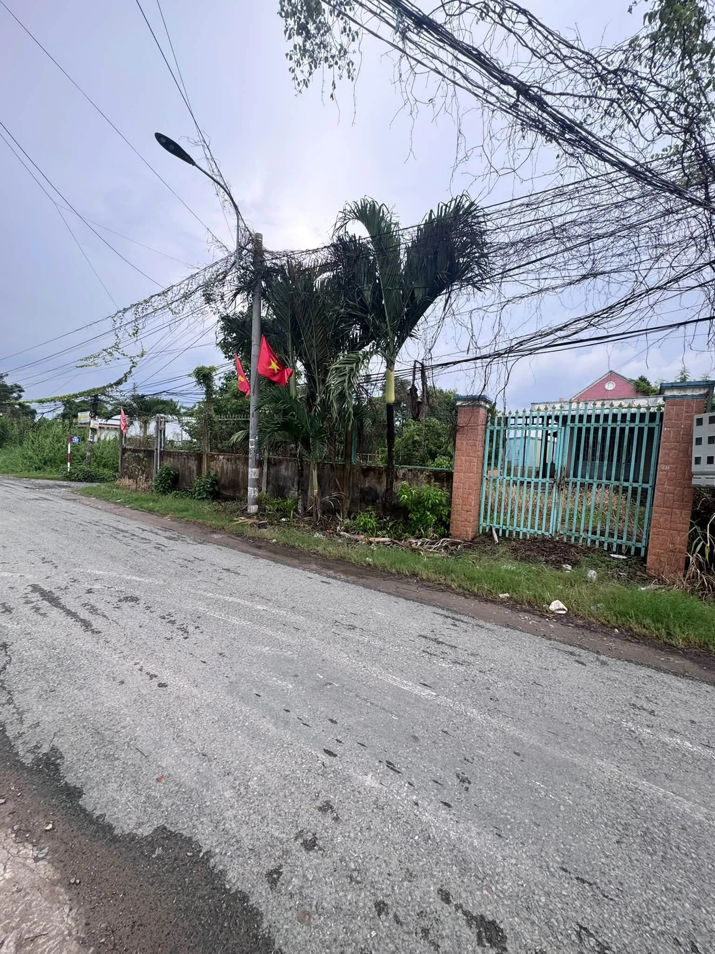 Bán nhà vườn 700m² Phước Lý Xã Long Thượng Củ Chi - Ảnh 1