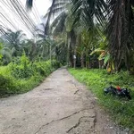 Bán đất Phú Nhuận Bến Tre 400m² giá 650 triệu - Ảnh thu nhỏ 2