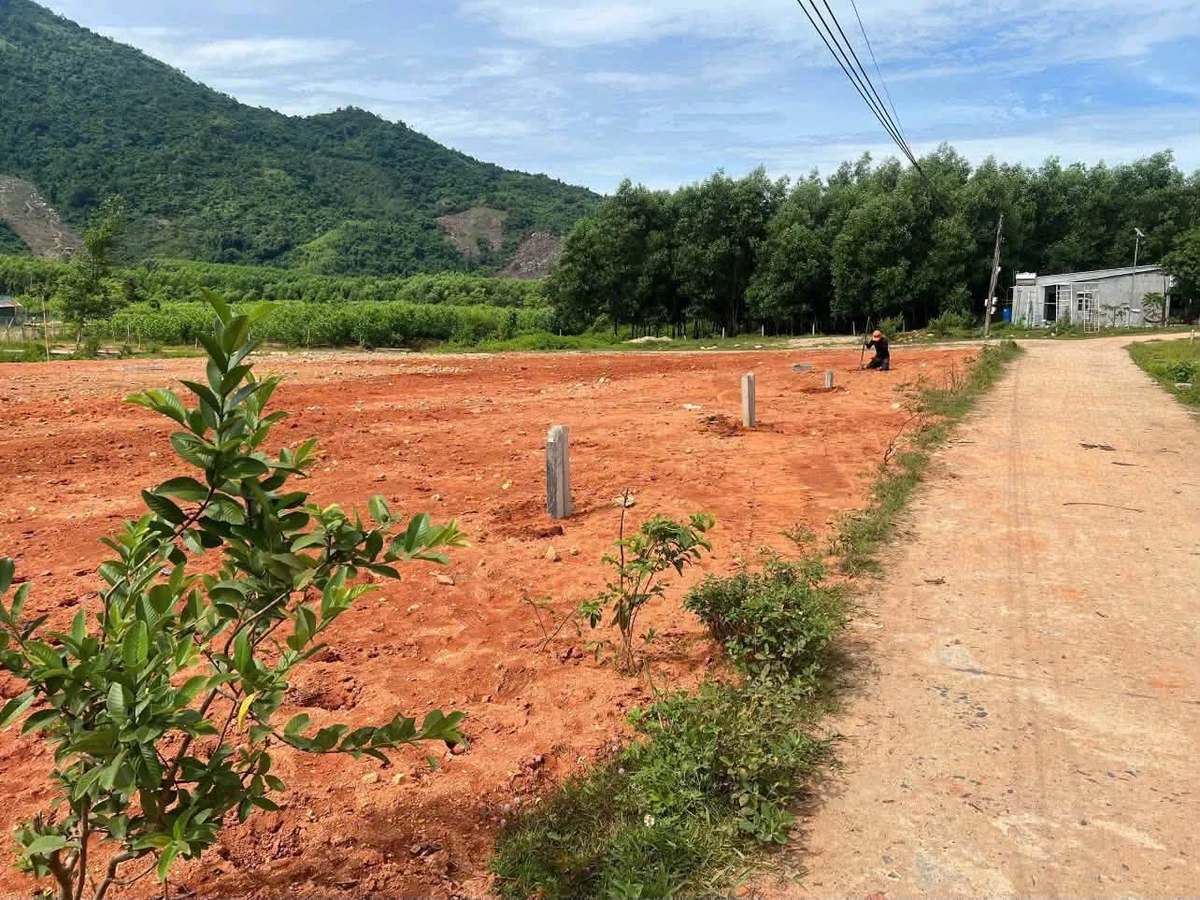 Bán lô đất 157m2 Khánh Đông 169 triệu - Ảnh thu nhỏ 2