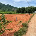 Bán lô đất 157m2 Khánh Đông 169 triệu - Ảnh thu nhỏ 2