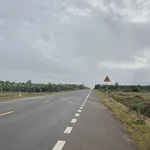 Bán đất 1,3 hecta mặt đường tránh Đông Đắk Lắk - Ảnh thu nhỏ 2
