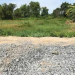 Bán đất đối diện Chợ, Trường Học, cách KCN Long Giang 10 phút. Giá 358 Triệu - Ảnh thu nhỏ 7