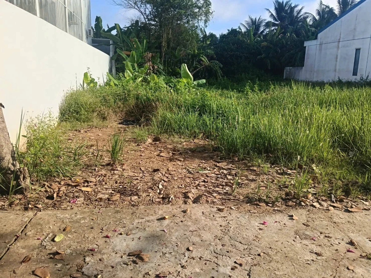 Bán nền đất Phú An Hòa 156m2, Bình Chánh - Ảnh thu nhỏ 2