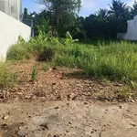 Bán nền đất Phú An Hòa 156m2, Bình Chánh - Ảnh thu nhỏ 2