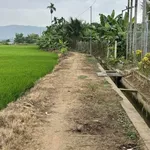 Bán đất 573m2 Diên Khánh 1 tỷ sổ cây lâu năm - Ảnh thu nhỏ 1