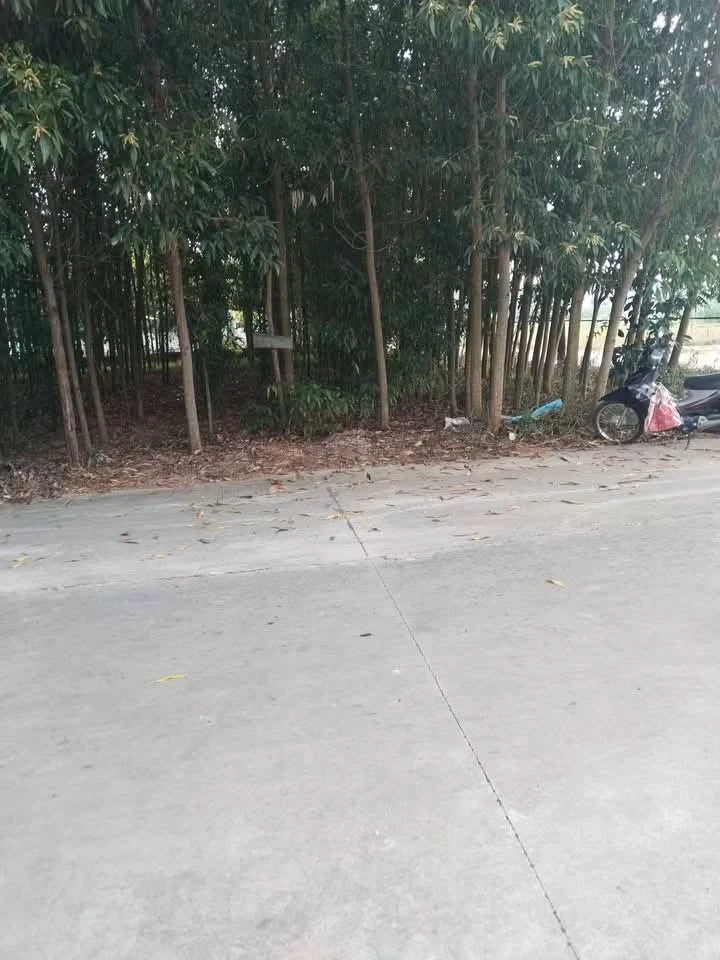 Bán 2 lô đất 280m² xã Quang Trung 2 tỷ - Ảnh thu nhỏ 2