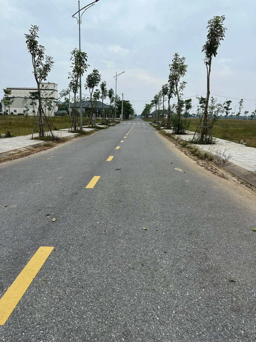 Bán lô đất mặt tiền Phạm Huy Thông 216m2, 1 tỷ 3 triệu - Ảnh thu nhỏ 2