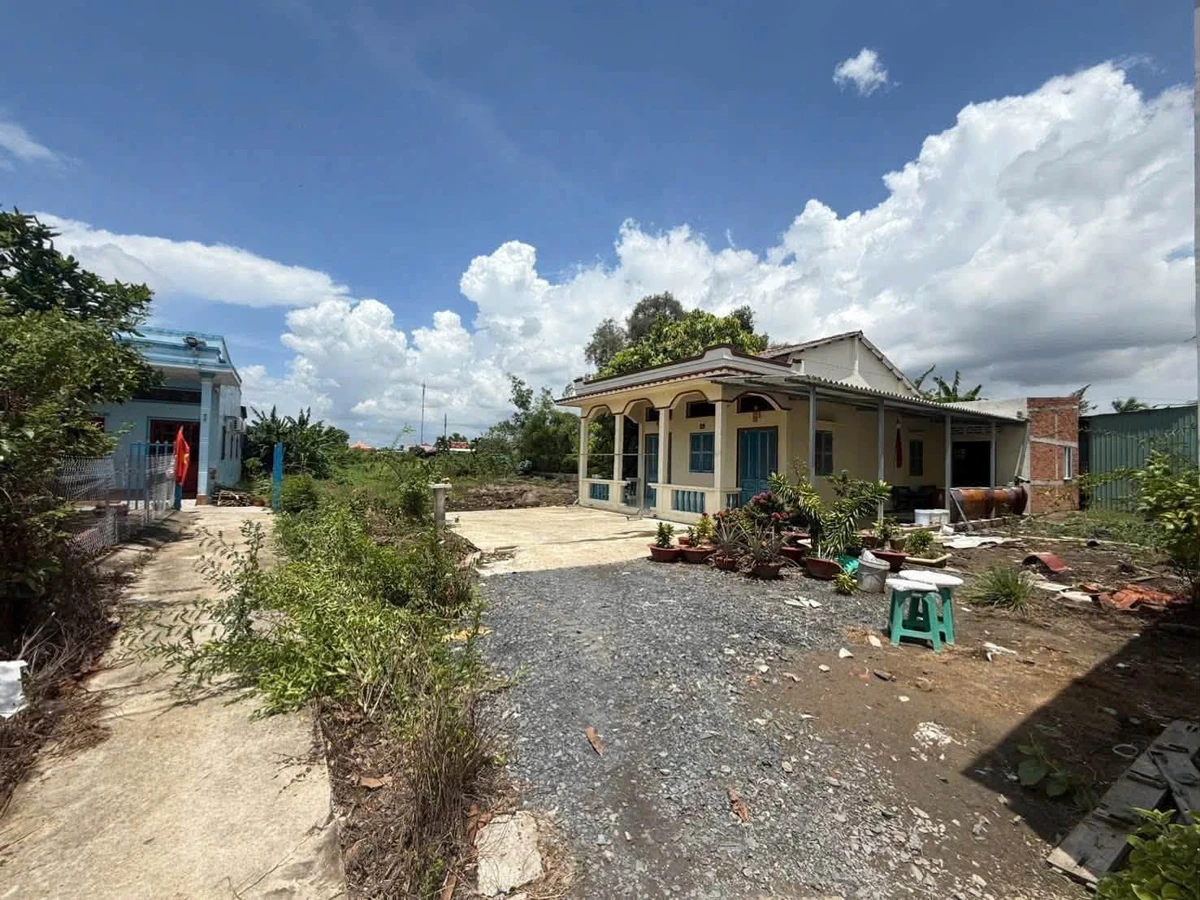 Bán đất lúa 1.300m² Nhà Bè 1.35 tỷ - Ảnh thu nhỏ 3