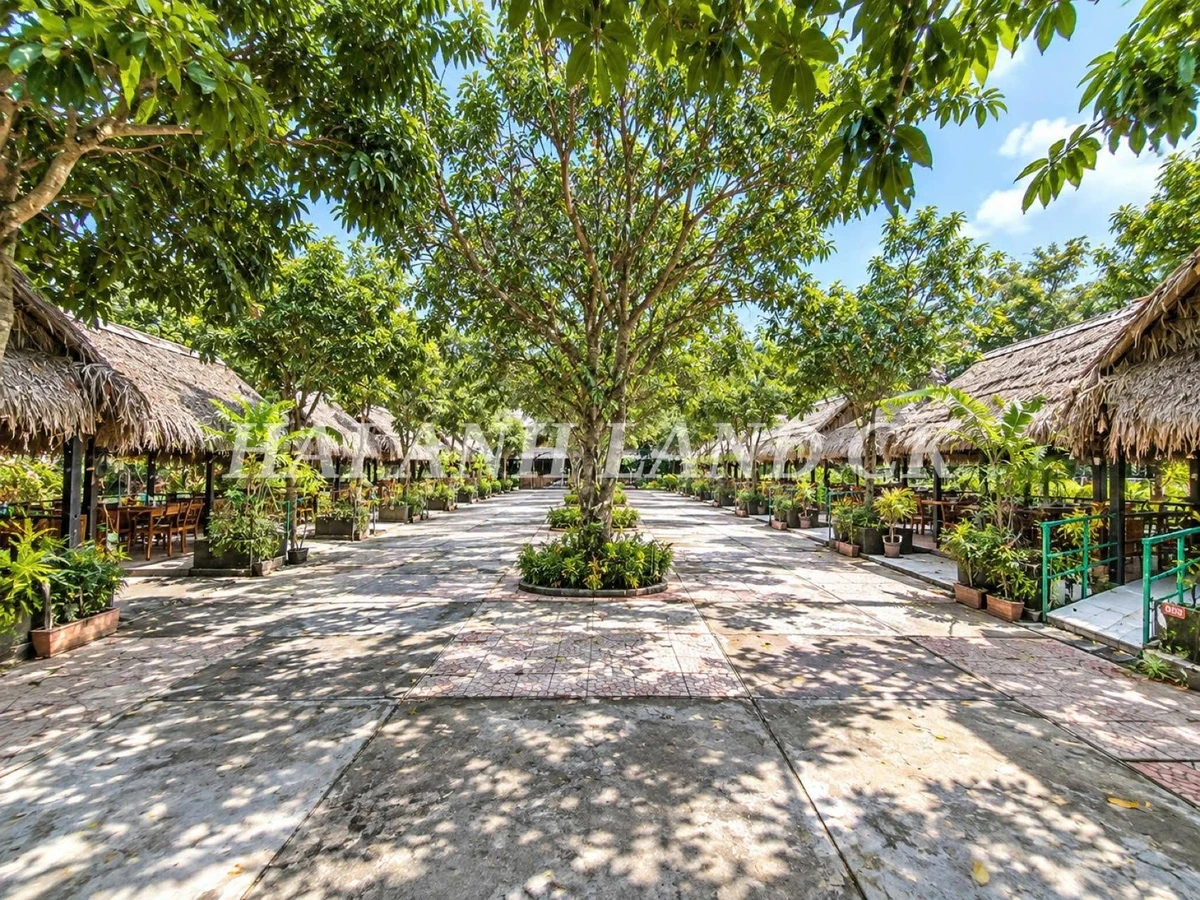 Cho thuê mặt bằng sân vườn 2600m2 Rạch Giá, An Giang 35 triệu/tháng - Ảnh thu nhỏ 4