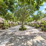 Cho thuê mặt bằng sân vườn 2600m2 Rạch Giá, An Giang 35 triệu/tháng - Ảnh thu nhỏ 4