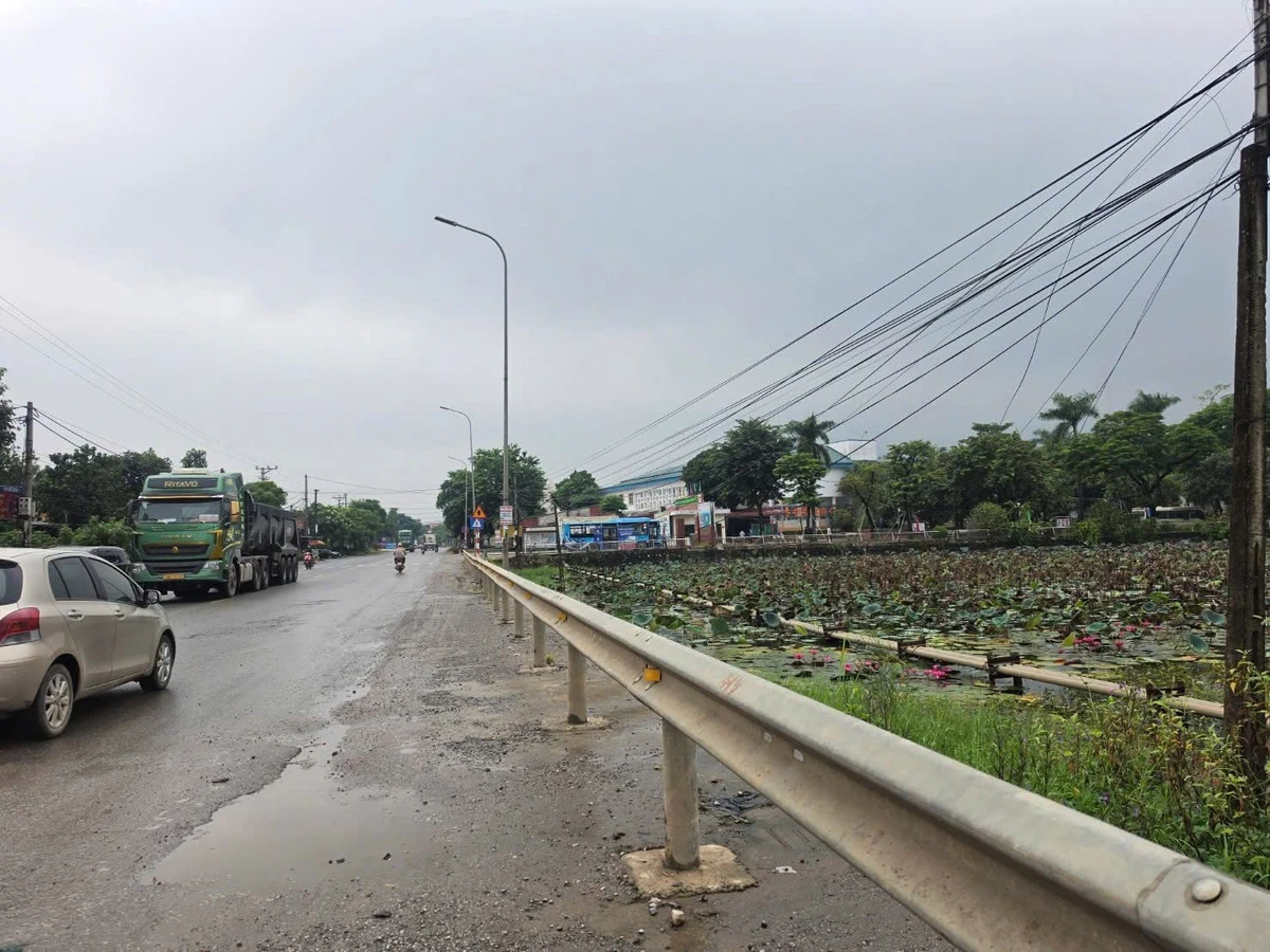 Bán đất 298m2 mặt tiền 8m Nhuận Trạch Hòa Bình - Ảnh thu nhỏ 2