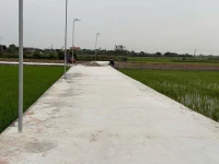 Bán gấp đất tại Xã Nam Thịnh, Huyện Tiền Hải, Thái Bình, 550 triệu, 120 m2 - Ảnh thu nhỏ 5