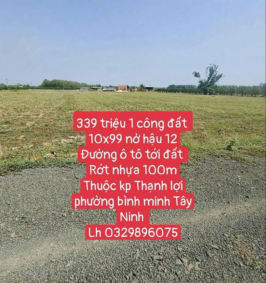 Bán đất 1 công Tây Ninh 339 triệu - Ảnh 1