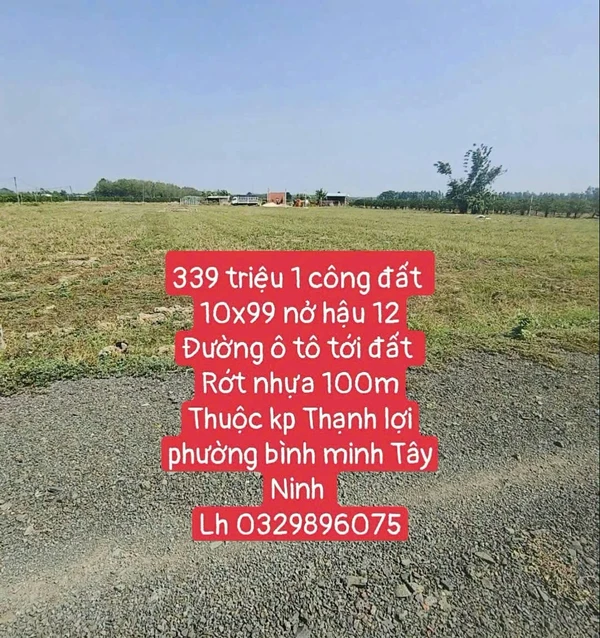 Bán đất 1 công Tây Ninh 339 triệu