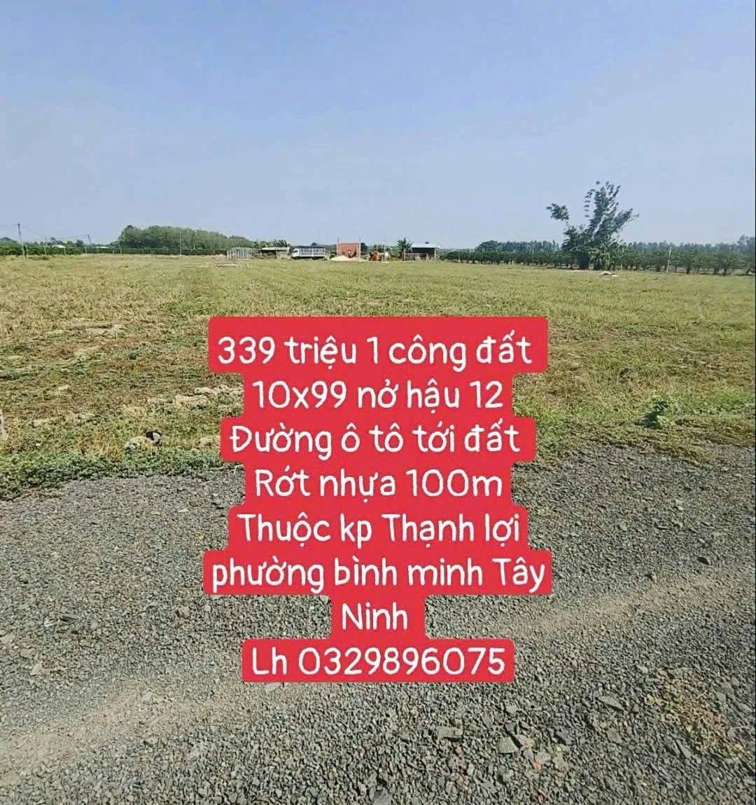 Bán đất 1 công Tây Ninh 339 triệu - Ảnh 1