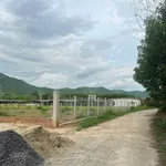 Bán lô đất Diên Tân 6.585m² thích hợp làm farm - Ảnh thu nhỏ 5