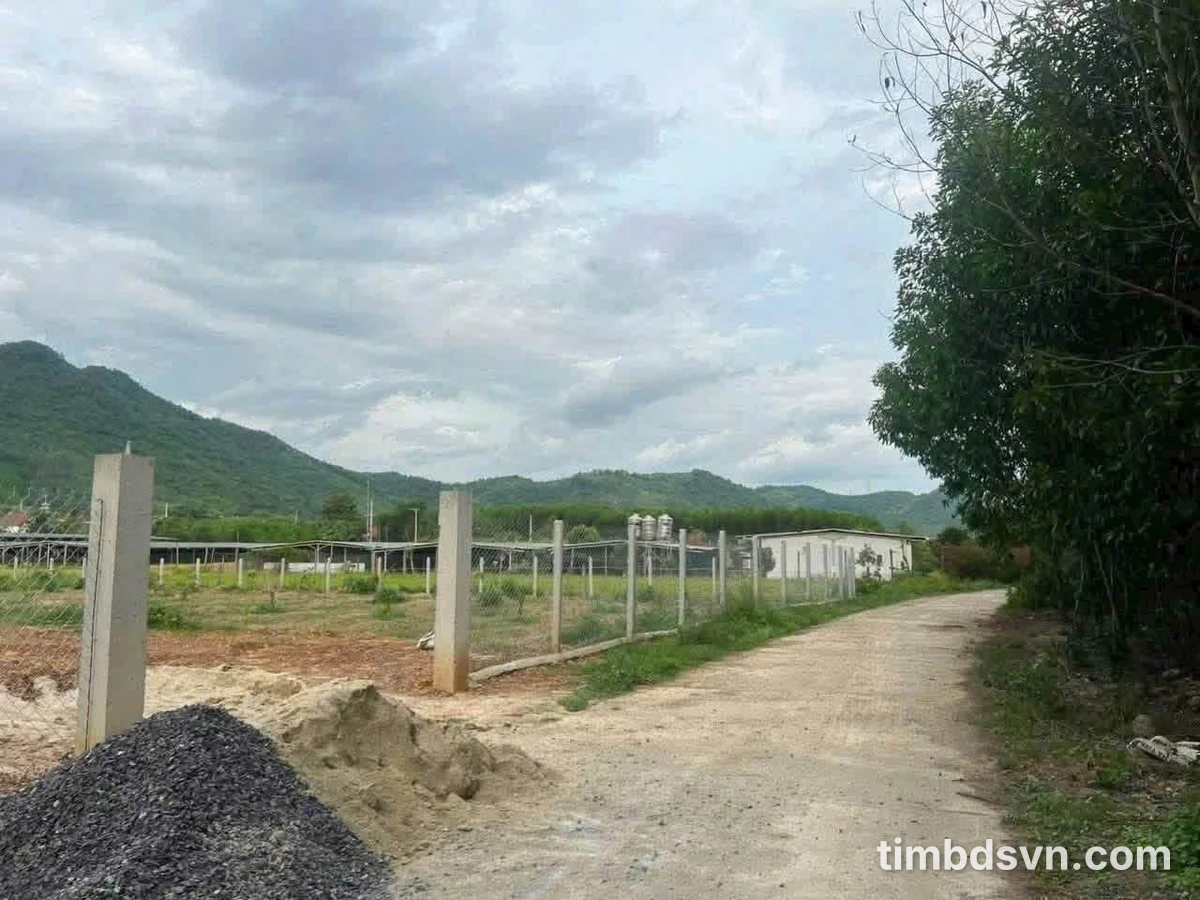 Bán lô đất Diên Tân 6.585m² thích hợp làm farm - Ảnh thu nhỏ 5