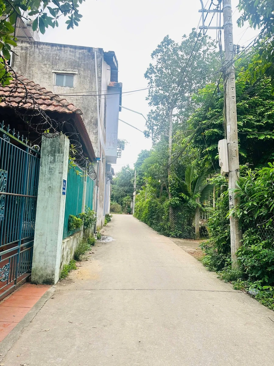 Bán đất hẻm 100m2 Lê Quý Đôn Quận 1 - Ảnh thu nhỏ 3