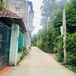 Bán đất hẻm 100m2 Lê Quý Đôn Quận 1 - Ảnh thu nhỏ 3