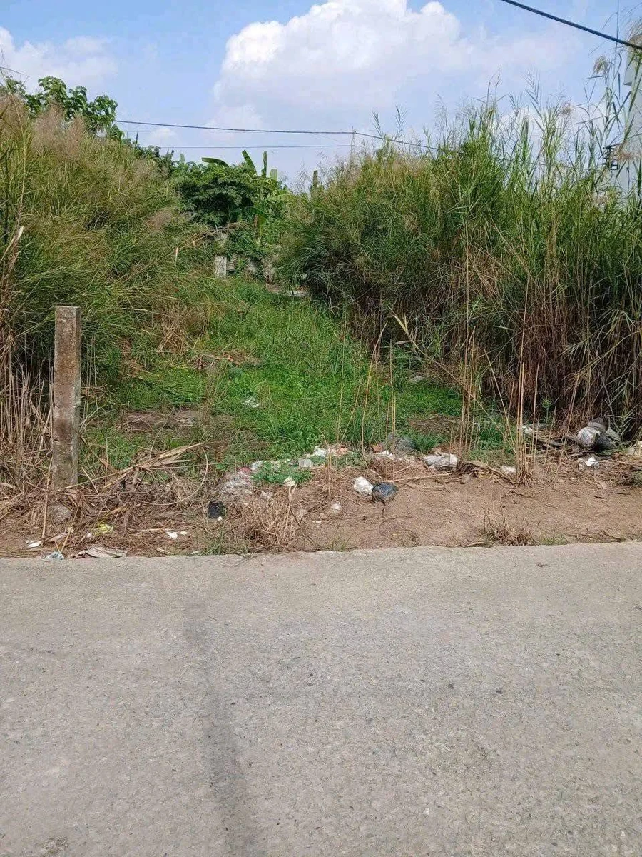 Bán nền thổ cư 5x23m giá 750 triệu tại Thủ Thừa, Tây Ninh - Ảnh 1