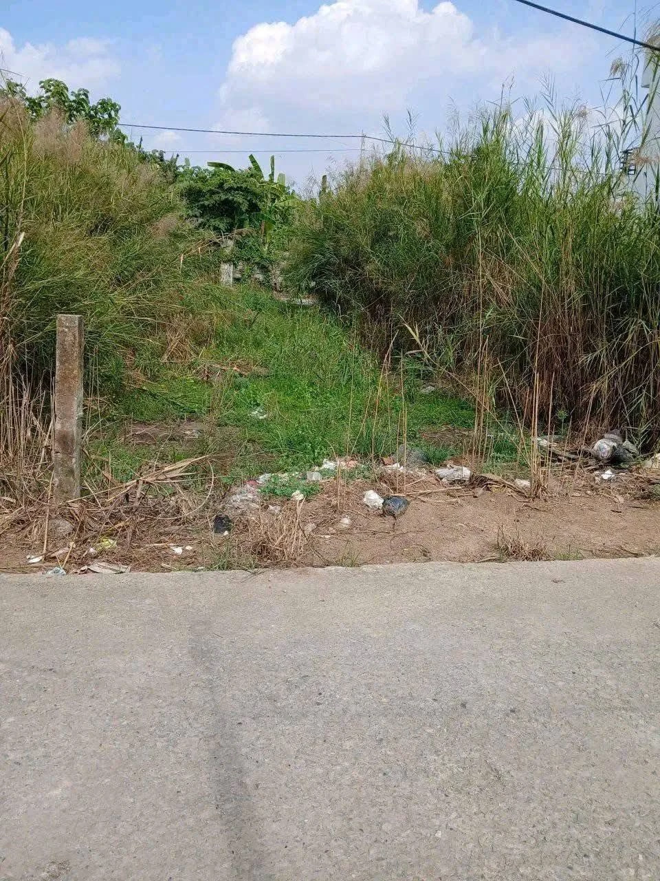Bán nền thổ cư 5x23m giá 750 triệu tại Thủ Thừa, Tây Ninh - Ảnh 1