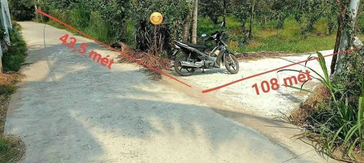 Bán vườn bưởi sầu riêng 5.339m² Nhuận Phú Tân Vĩnh Long - Ảnh 1