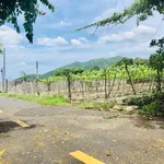 Bán đất nhà vườn 293.8m2 Phước Hải, cách biển 3km, 2 tỷ 3 - Ảnh thu nhỏ 5
