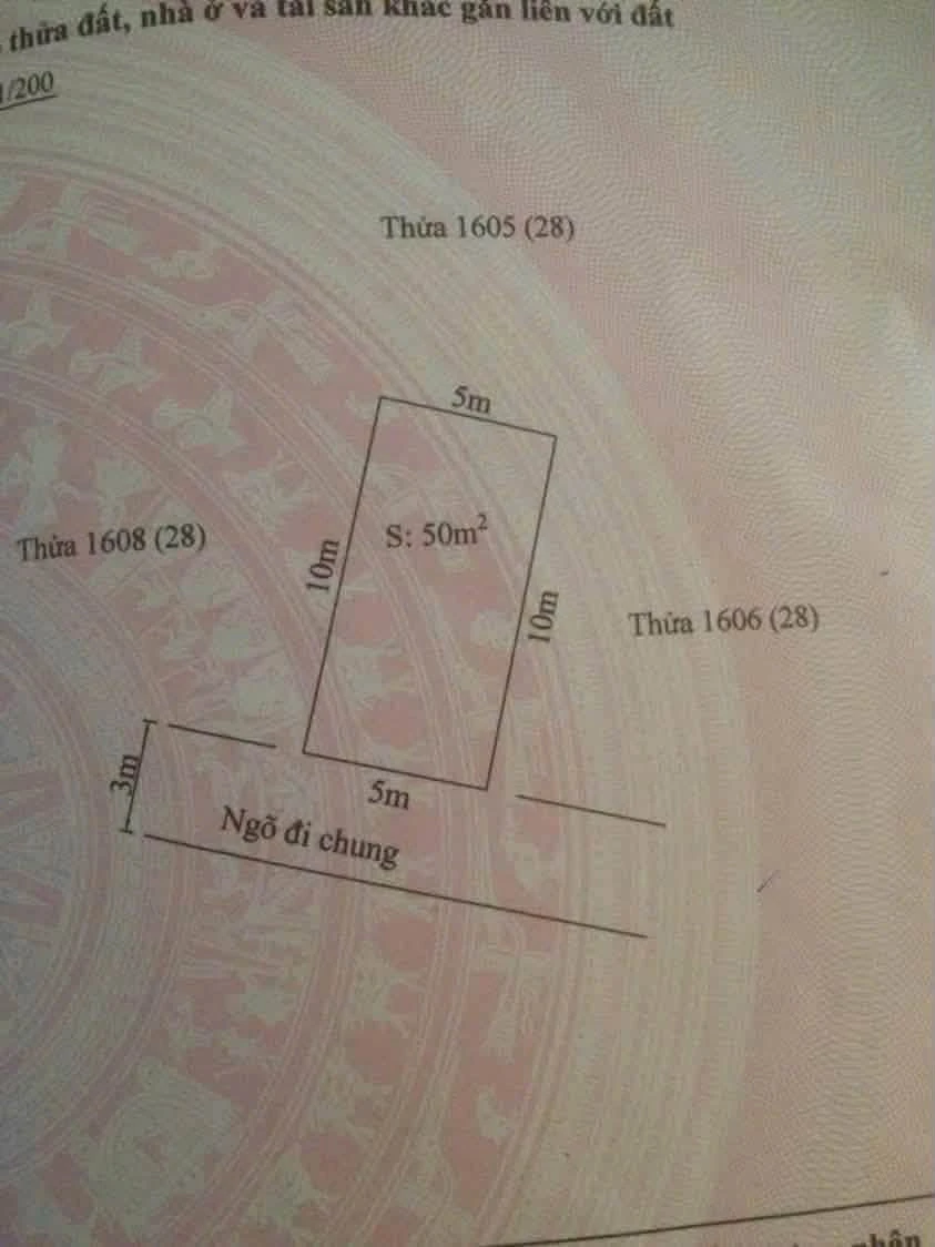 Bán đất 50m² mặt tiền 5m ngõ Cát Linh, giá 1.4 tỷ - Ảnh thu nhỏ 2