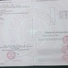 Bán đất nhà vườn Hòa Hội 1089m2 giá mềm chỉ 460tr - Ảnh thu nhỏ 6