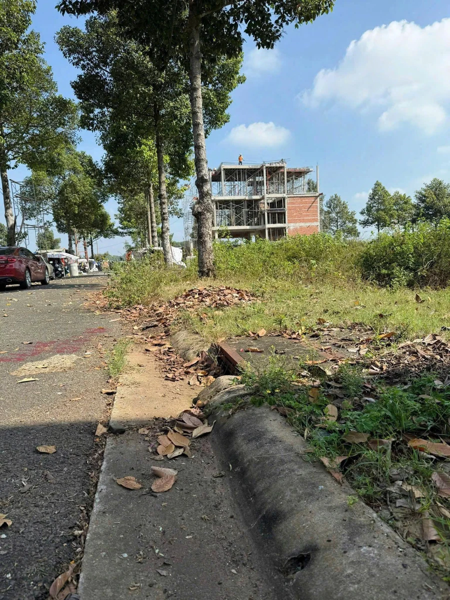 Bán đất biệt thự 299m2 Hòa Long Ba Ria 3.3 tỷ - Ảnh thu nhỏ 4