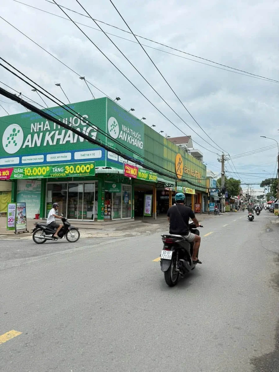 Bán nhà 1 trệt 1 lầu 5 phòng ngủ 4x29m đường Lý Văn Sâm, Tam Hiệp, Biên Hòa - Ảnh 1