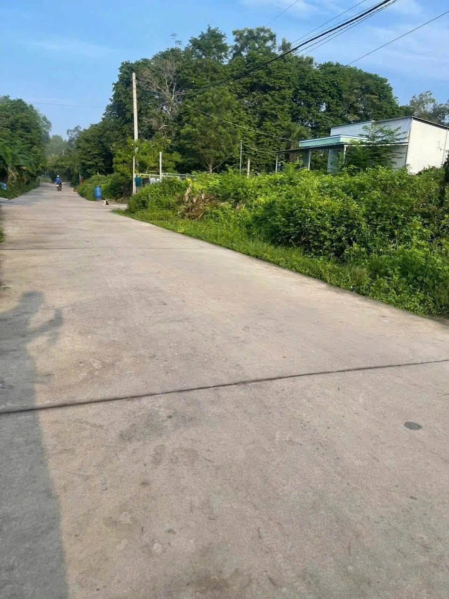 Bán nhà Tân Hiệp 339m², 2 phòng ngủ - Ảnh thu nhỏ 3