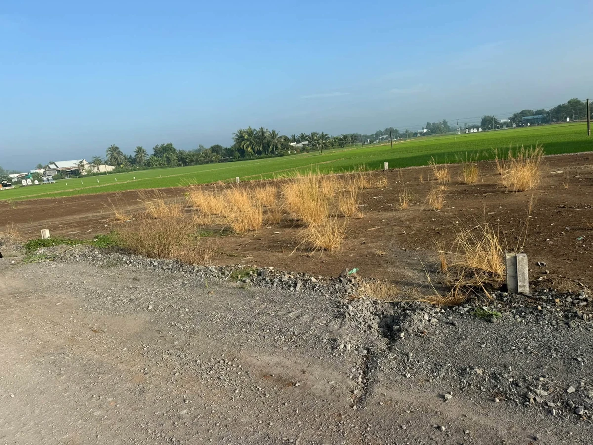Bán lô đất thổ cư 10,6x21m Nhà Bè 980 triệu - Ảnh thu nhỏ 3