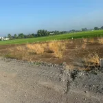 Bán lô đất thổ cư 10,6x21m Nhà Bè 980 triệu - Ảnh thu nhỏ 3