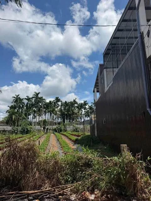 Đất mặt tiền Phạm Ngũ Lão 125m2, 3,6 tỷ, Nhà Bè - Ảnh thu nhỏ 2