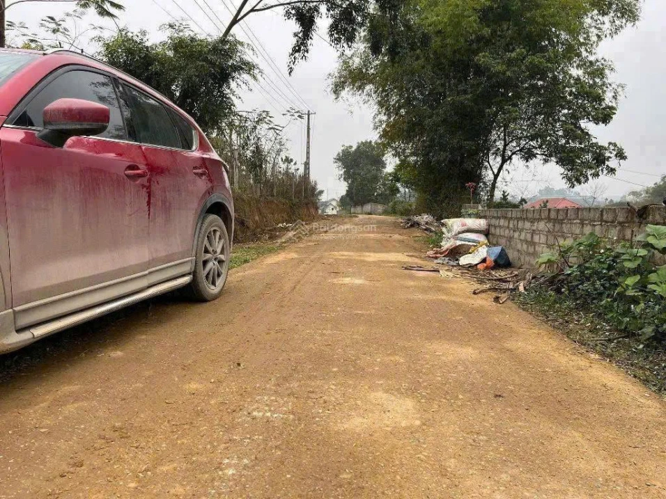 Lô đất rẻ tại Thanh Thủy, đường rộng 6m, vị trí đẹp: Gần trường, chợ, tỉnh lộ, nhà máy, Vườn Vua - Ảnh thu nhỏ 4