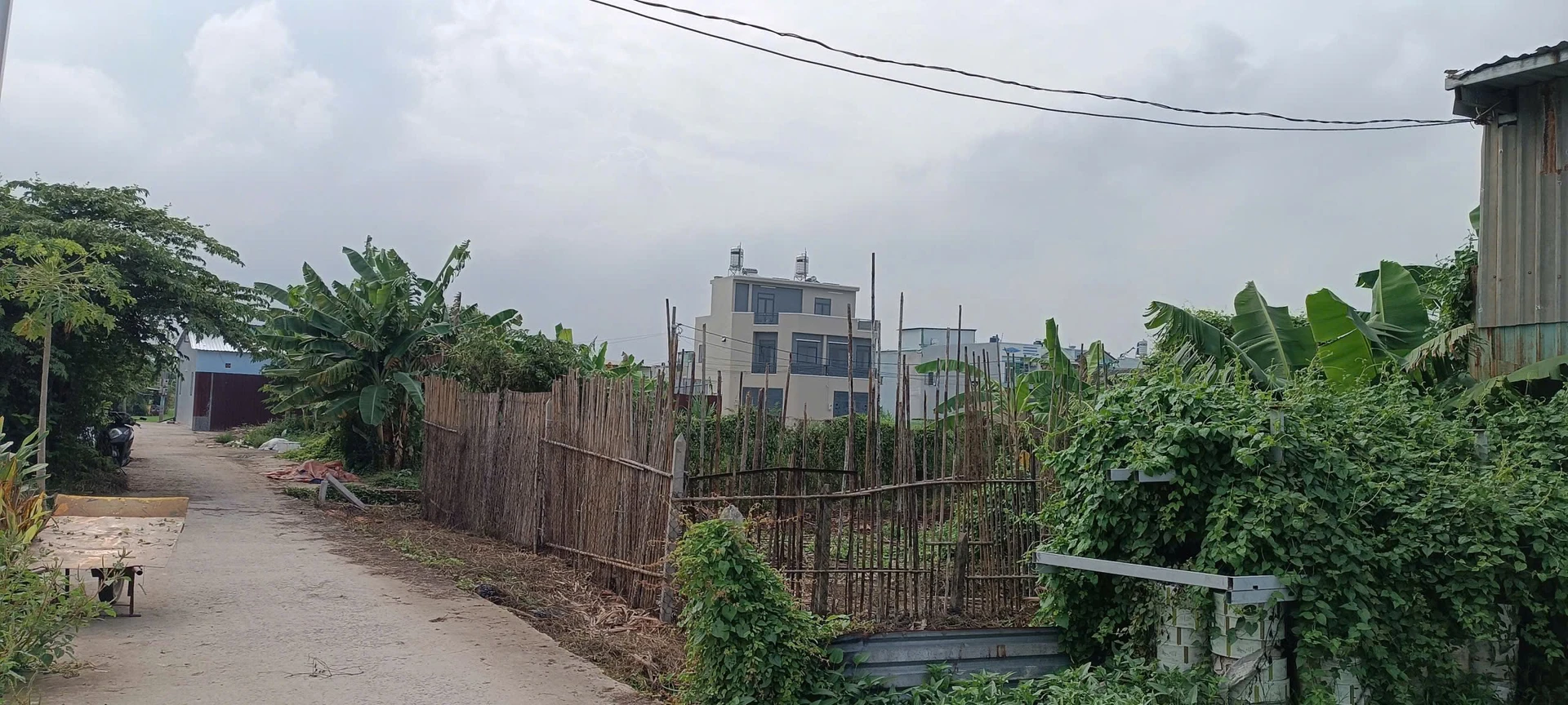 Bán đất vườn 8,5x25m hẻm ô tô thông giá 990 triệu tại xã Bình Mỹ, Củ Chi - Ảnh 1