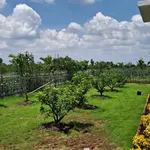 Bán đất 1000m2 có nhà vườn mới xây, ao cá tại xã Tân Thành, Thủ Thừa, Long An - Ảnh thu nhỏ 4