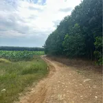 Bán đất 25.000m² Phú Lý, Đồng Nai (trồng chuối, nhà vườn) - Ảnh thu nhỏ 2