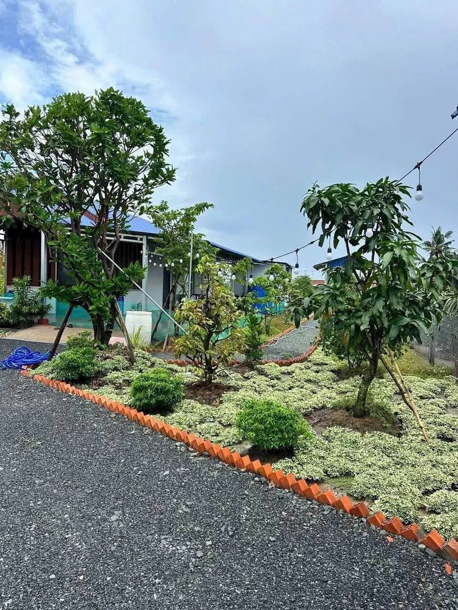 Bán nhà vườn 1000m2 Hoà Phú Châu Thành Long An giá 1 tỷ 350 - Ảnh thu nhỏ 4
