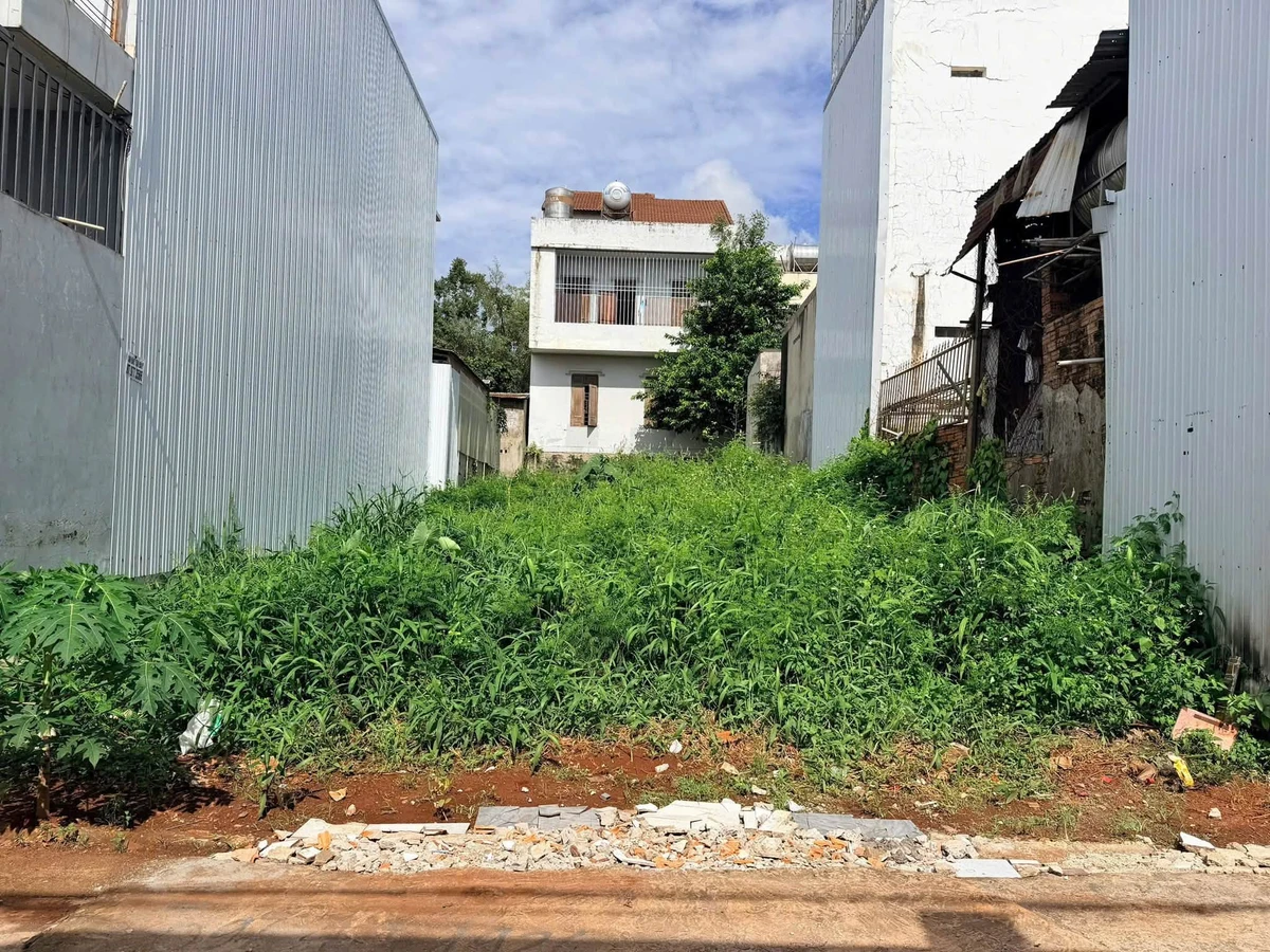 Bán đất 8x29m Nguyễn Chí Thanh, Bình Chánh - Ảnh 1