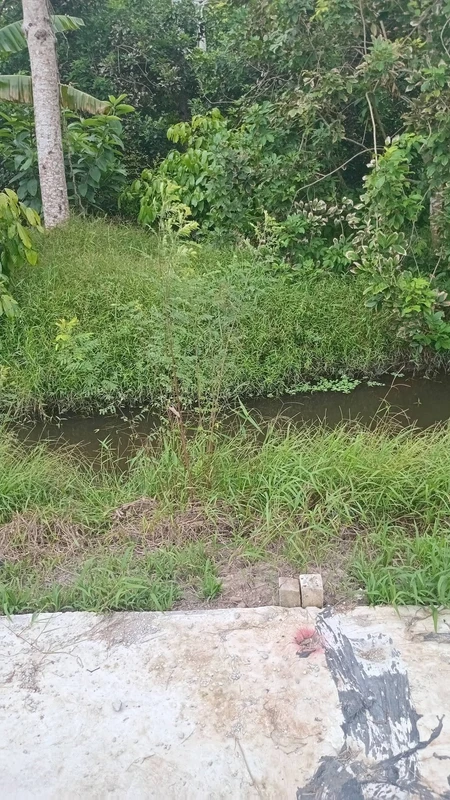 Bán đất nền 150m² giá 260 triệu ở Phường Long Tuyền, Cần Thơ