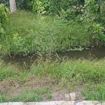 Bán đất nền 150m² giá 260 triệu ở Phường Long Tuyền, Cần Thơ - Ảnh thu nhỏ 1