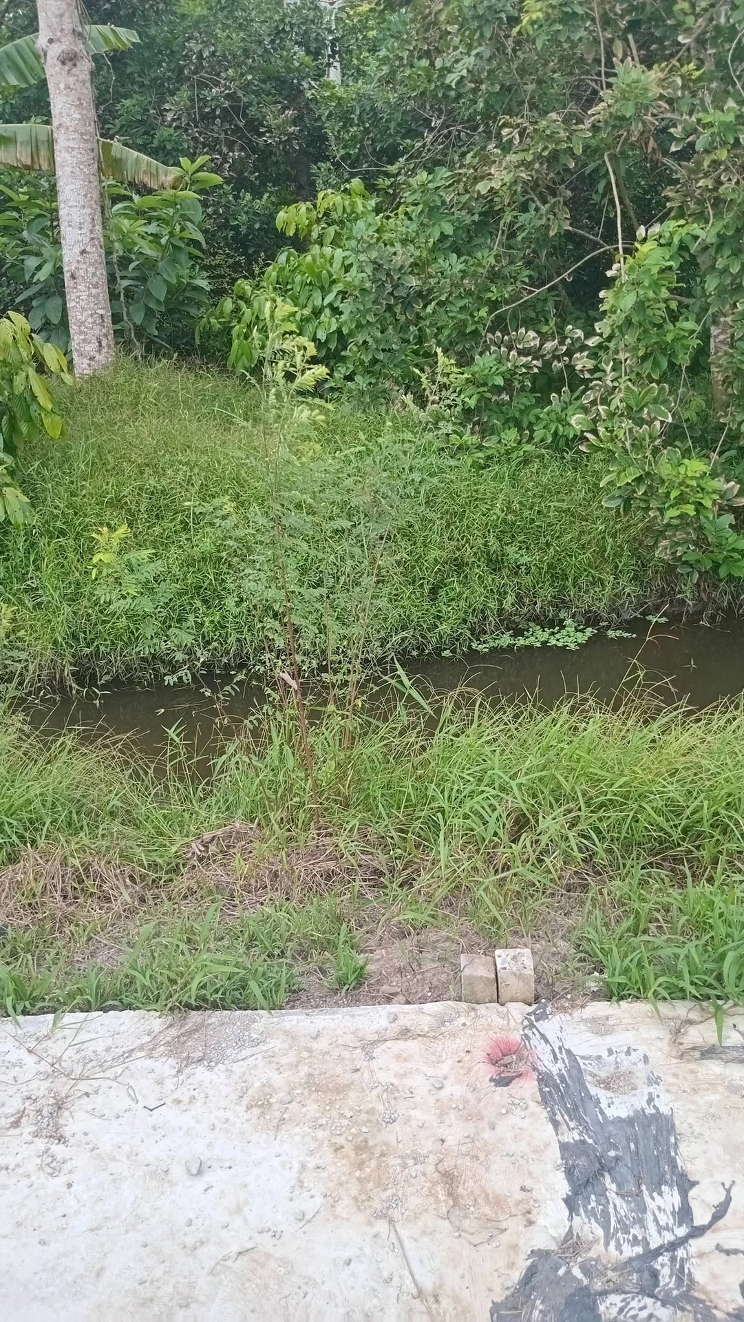 Bán đất nền 150m² giá 260 triệu ở Phường Long Tuyền, Cần Thơ - Ảnh 1