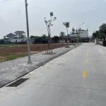 Bán đất tại Khu đấu giá, Phong nội, Bình Dân, Kim Thành cũ, 99m2 ngang 5,5m đường 5,5m giá 9,8tr/m - Ảnh thu nhỏ 6