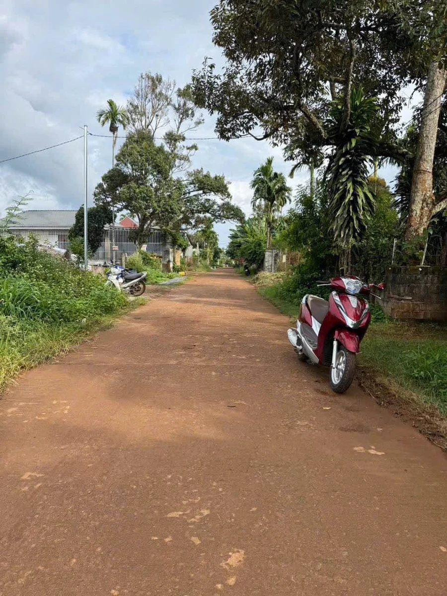 Bán đất 120m² đường Nguyễn Lương Bằng, Nhà Bè, 1 tỷ 9 triệu - Ảnh 1