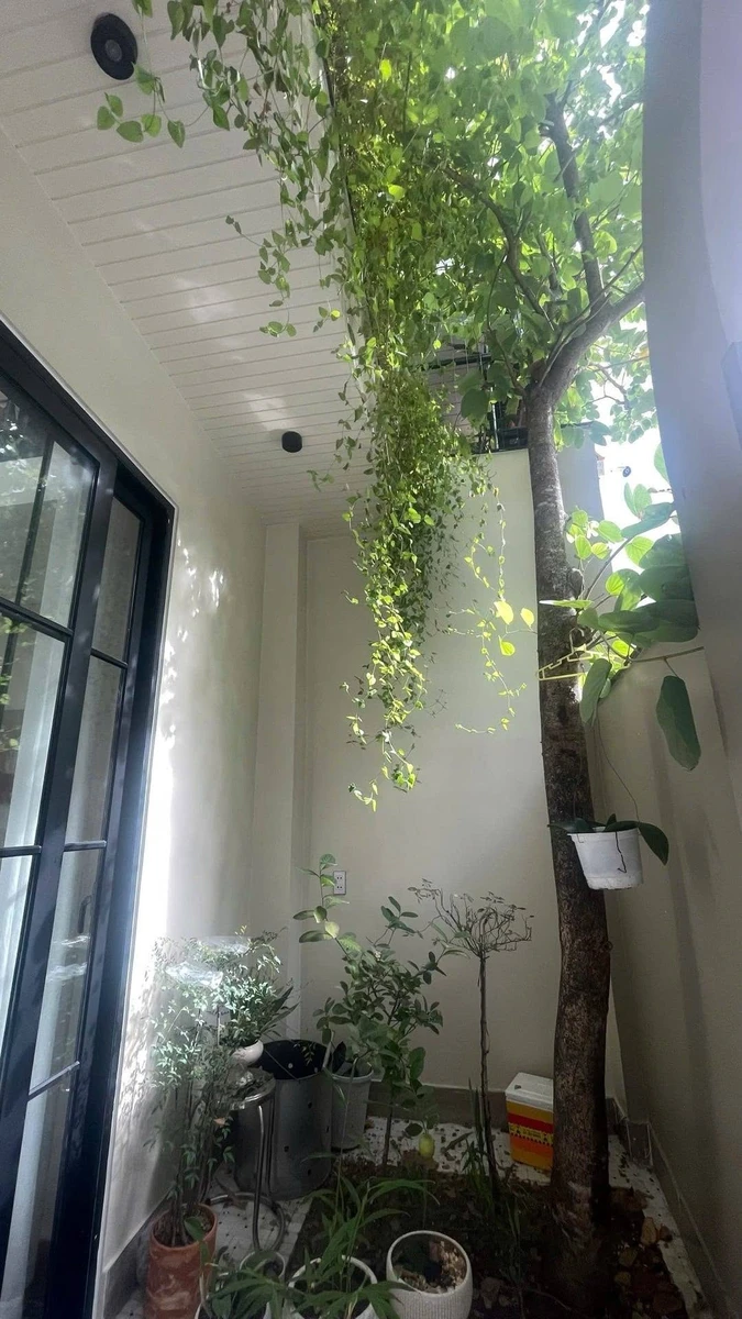 Bán nhà 2 tầng 80m² phong cách Địa Trung Hải cách biển 200m, Sơn Trà - Ảnh thu nhỏ 5
