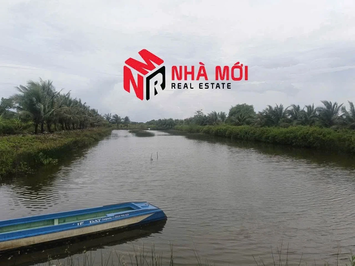 Bán đất vuông 36 công Phú Tân Cà Mau - Ảnh thu nhỏ 2