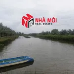 Bán đất vuông 36 công Phú Tân Cà Mau - Ảnh thu nhỏ 2