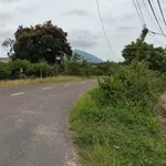 Bán đất 2,2 công Tây Ninh 320 triệu/công - Ảnh thu nhỏ 1